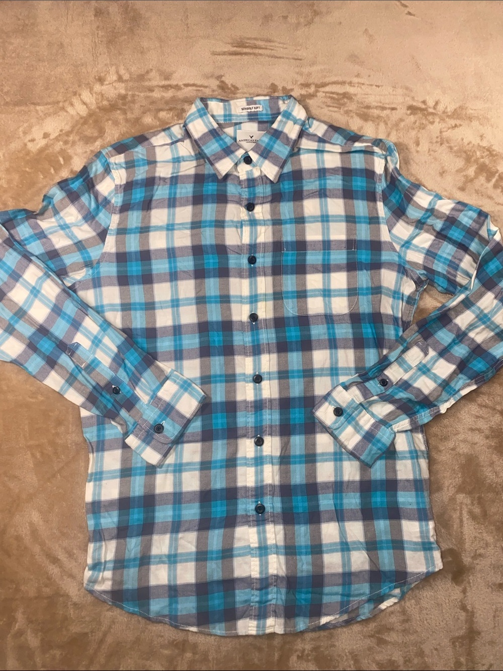 American Eagle Outfitters Blue and White Plaid Button-Up Shirt